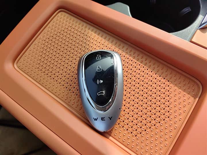 Фото 9 - Wey Lanshan