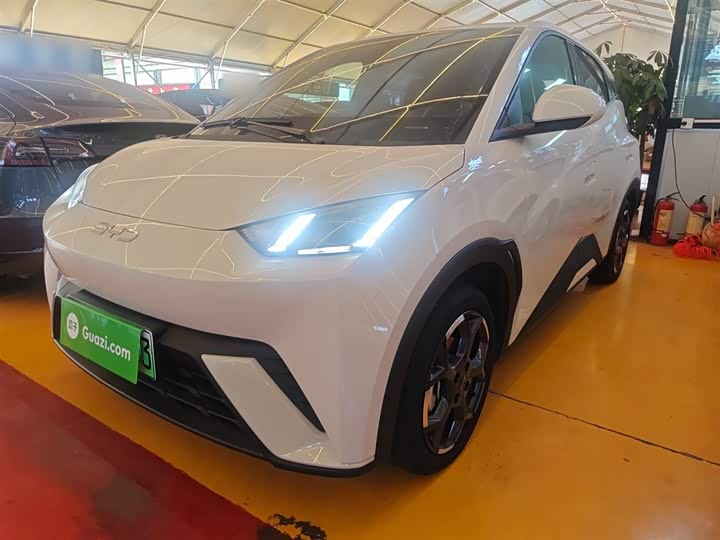 Фото 1 - BYD Seagull