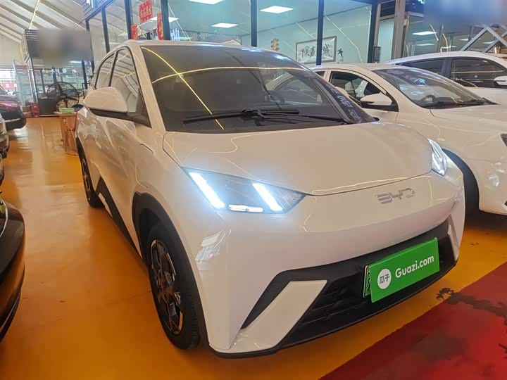 Фото 4 - BYD Seagull