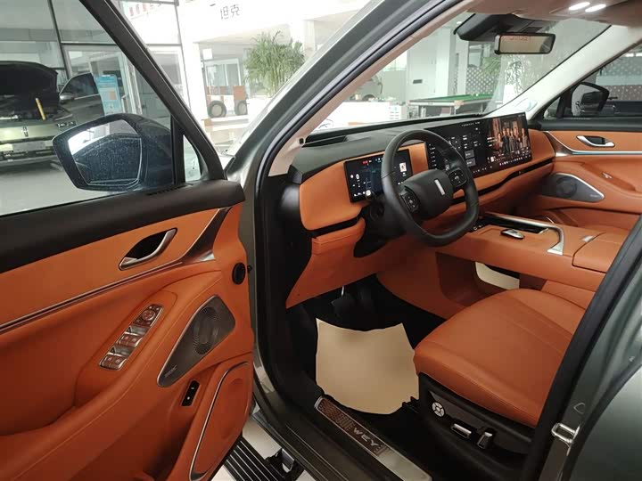 Фото 16 - Wey Lanshan