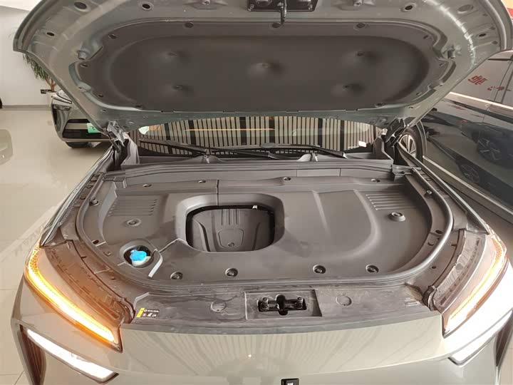 Фото 20 - Wey Lanshan