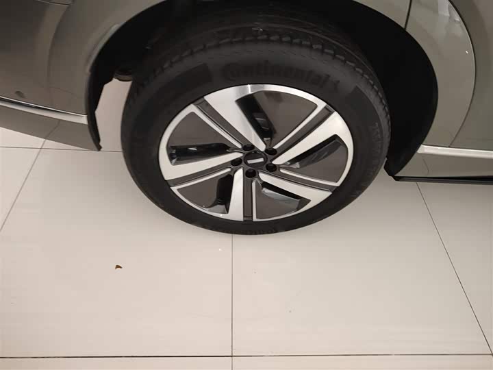 Фото 26 - Wey Lanshan