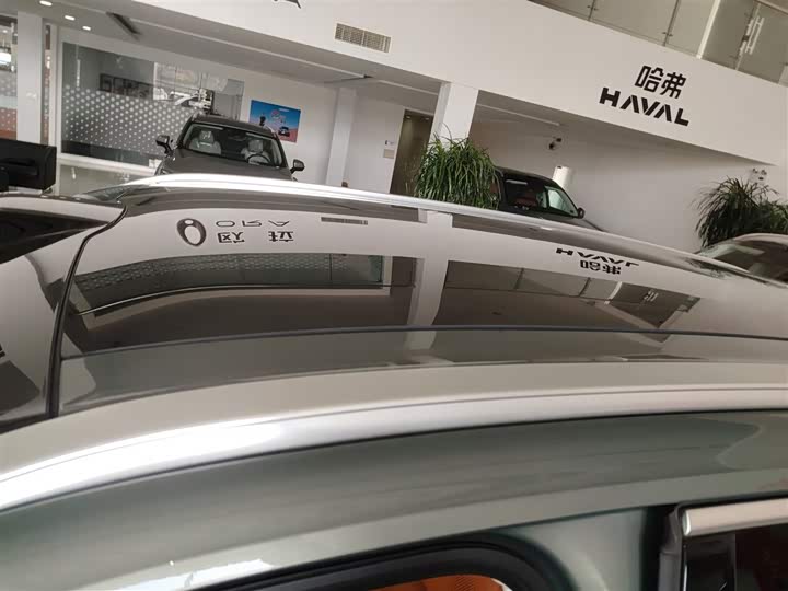 Фото 27 - Wey Lanshan