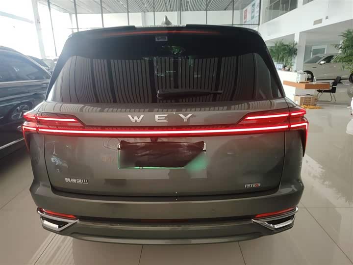 Фото 6 - Wey Lanshan