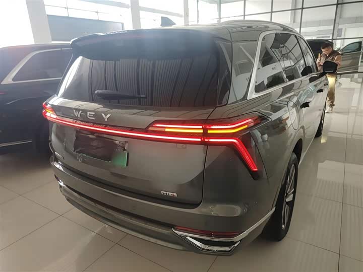 Фото 7 - Wey Lanshan