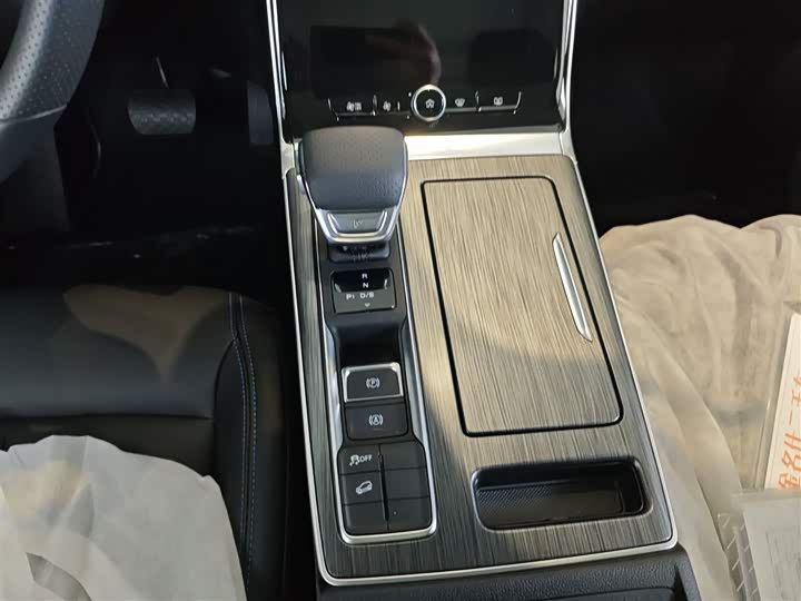 Фото 13 - Roewe RX5