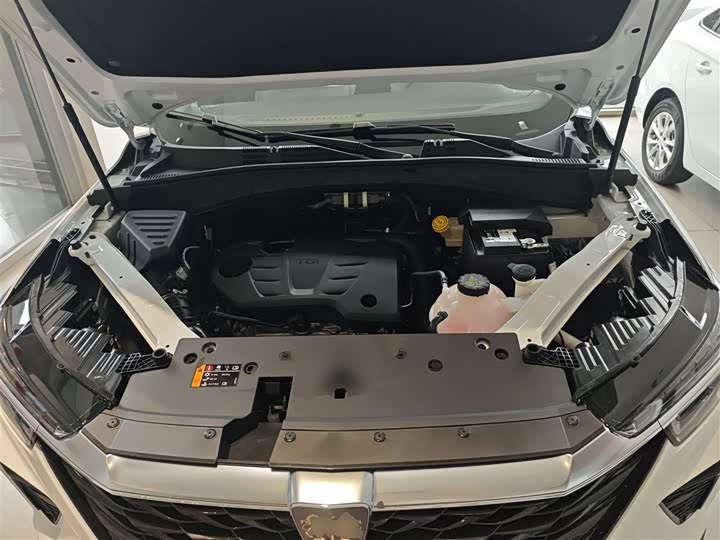 Фото 19 - Roewe RX5