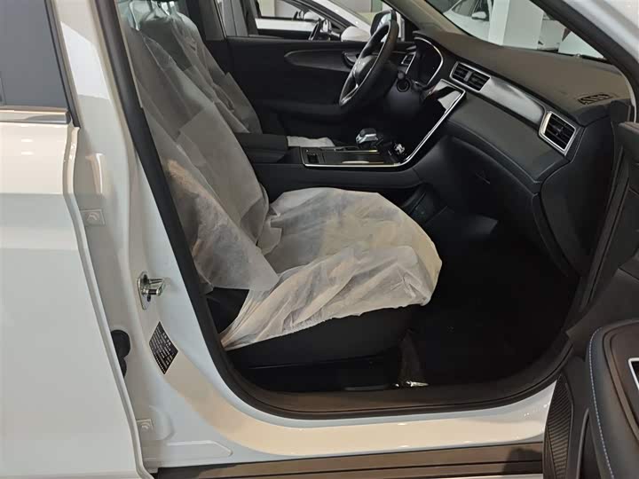 Фото 24 - Roewe RX5