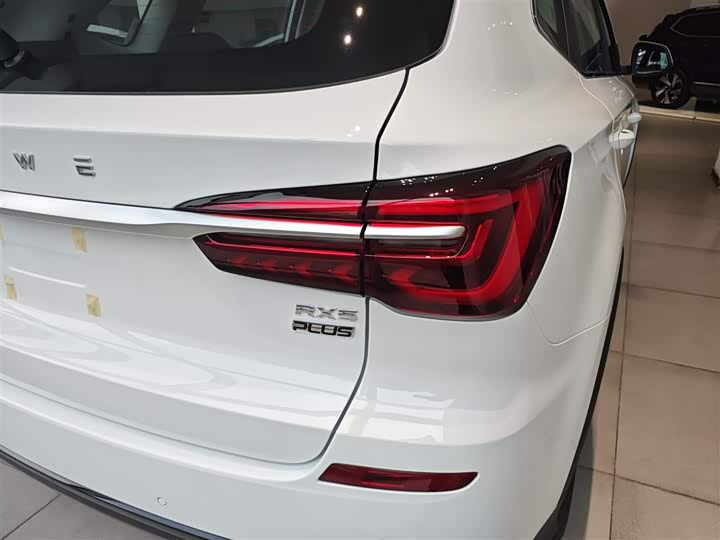 Фото 8 - Roewe RX5