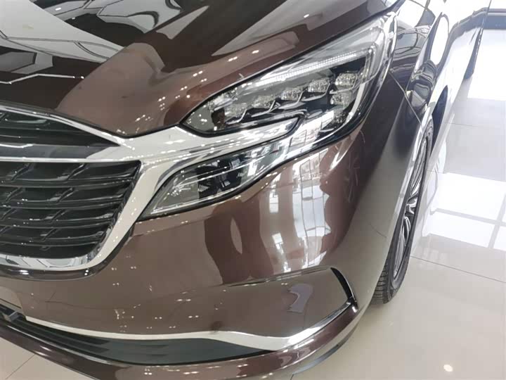 Фото 24 - Buick GL8 ES