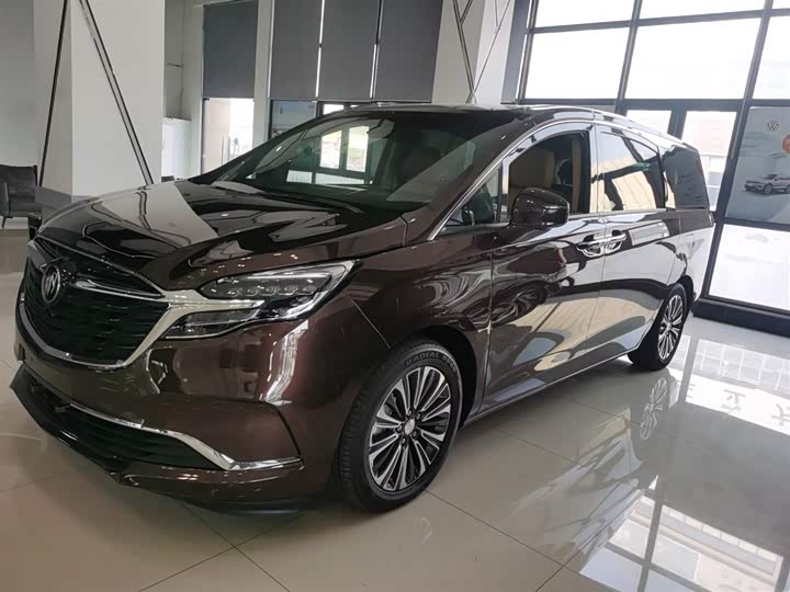 Фото 5 - Buick GL8 ES