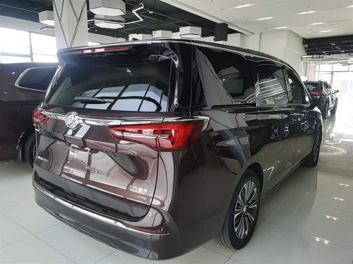 Фото 7 - Buick GL8 ES