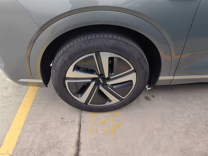 Фото 23 - Wey Lanshan