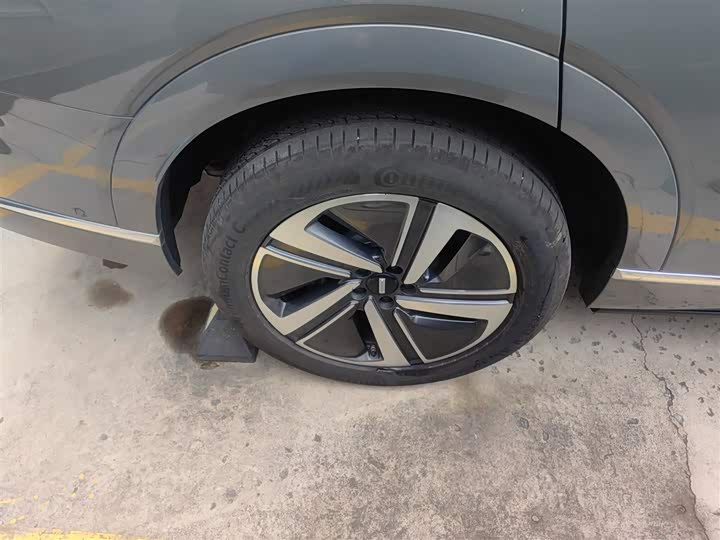 Фото 26 - Wey Lanshan