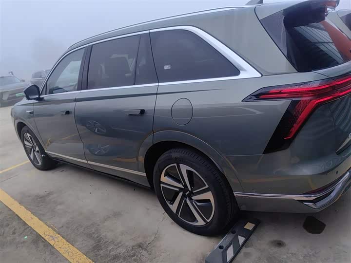 Фото 5 - Wey Lanshan