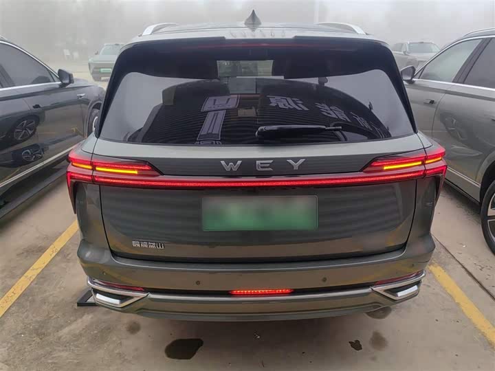 Фото 6 - Wey Lanshan