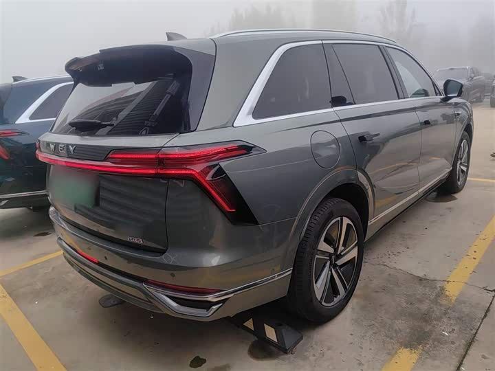 Фото 7 - Wey Lanshan