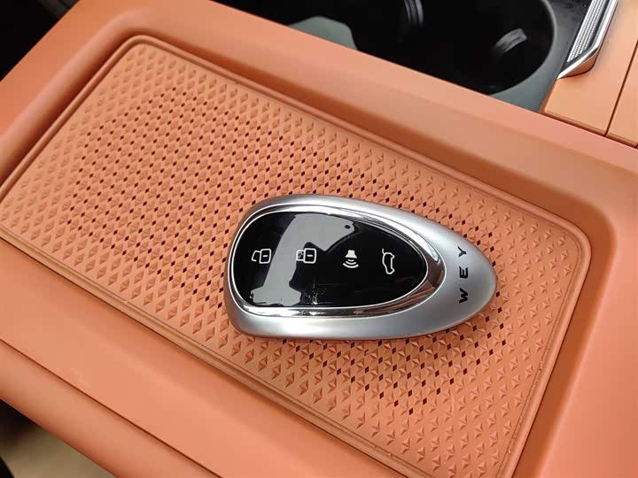 Фото 9 - Wey Lanshan