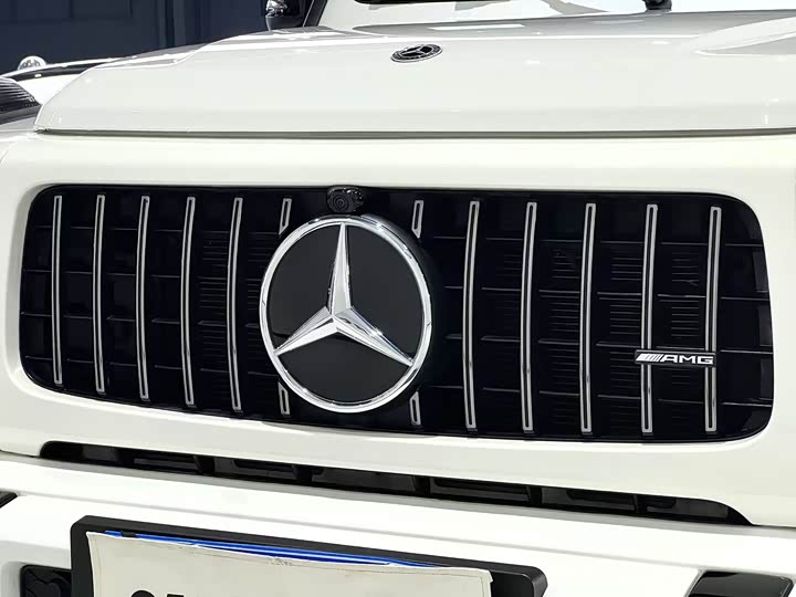 Фото 10 - Mercedes-Benz G-Class AMG