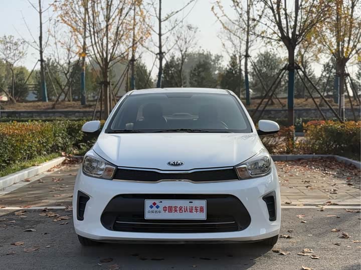 Фото 2 - Kia Pegas