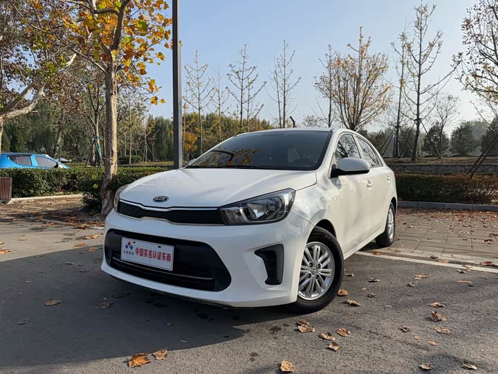 Фото 5 - Kia Pegas
