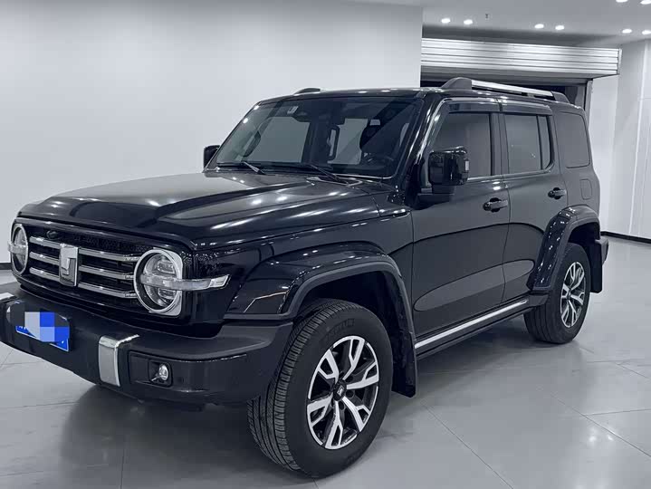 Фото 1 - Tank 300