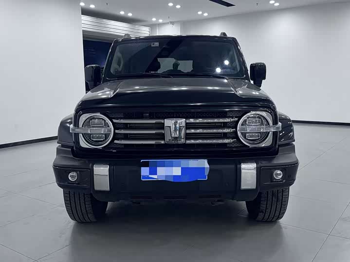 Фото 2 - Tank 300