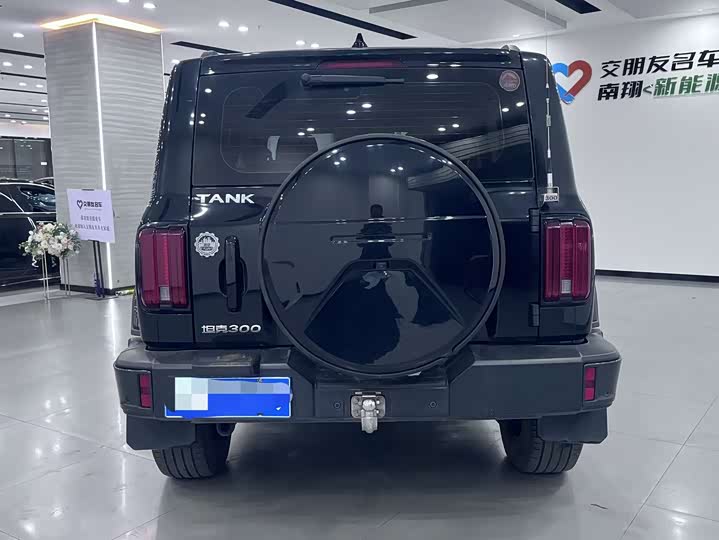 Фото 5 - Tank 300