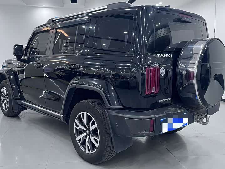 Фото 6 - Tank 300