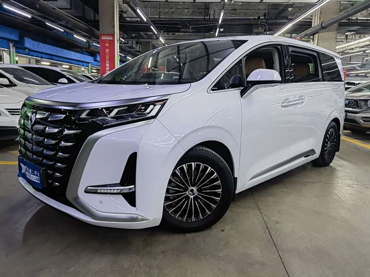 Фото 1 - Denza D9