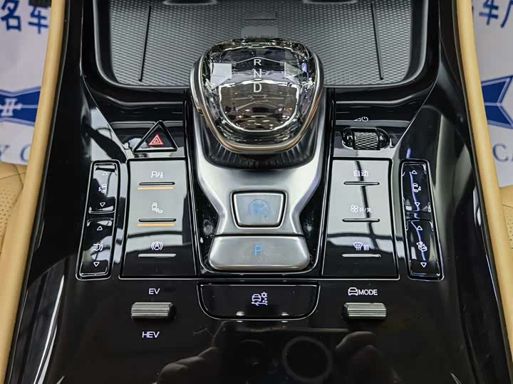 Фото 15 - Denza D9