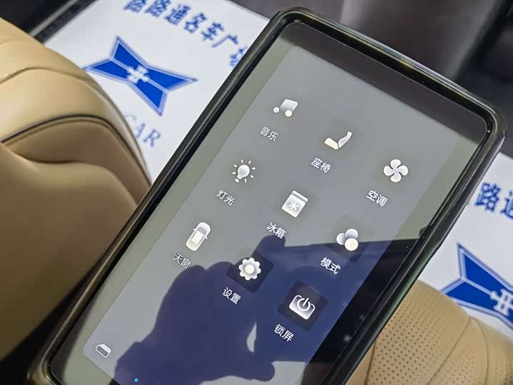 Фото 20 - Denza D9