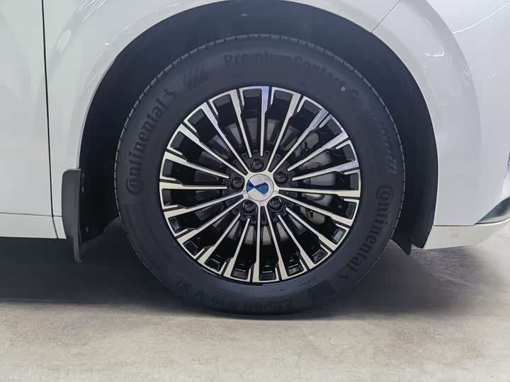 Фото 23 - Denza D9