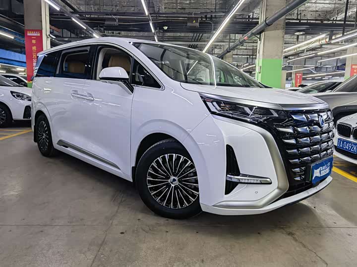 Фото 3 - Denza D9