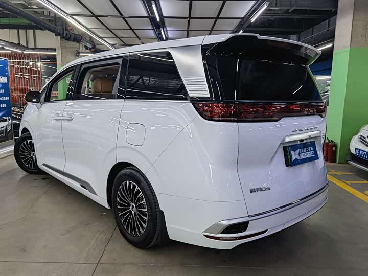 Фото 4 - Denza D9