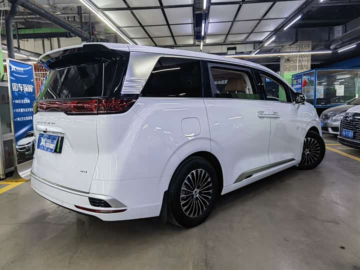 Фото 6 - Denza D9