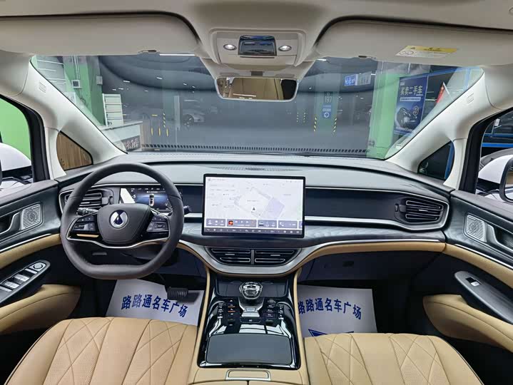 Фото 7 - Denza D9