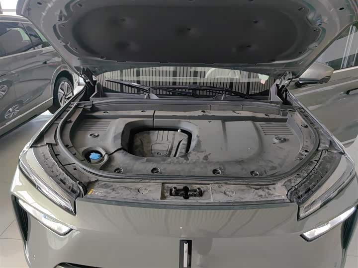 Фото 20 - Wey Lanshan