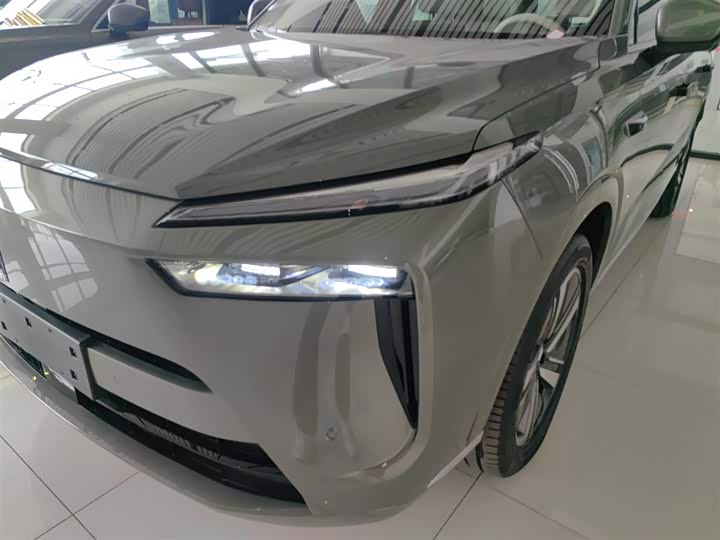 Фото 24 - Wey Lanshan