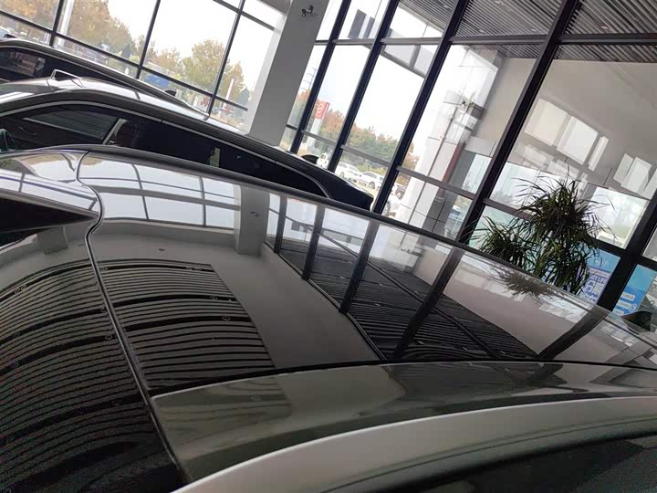 Фото 27 - Wey Lanshan