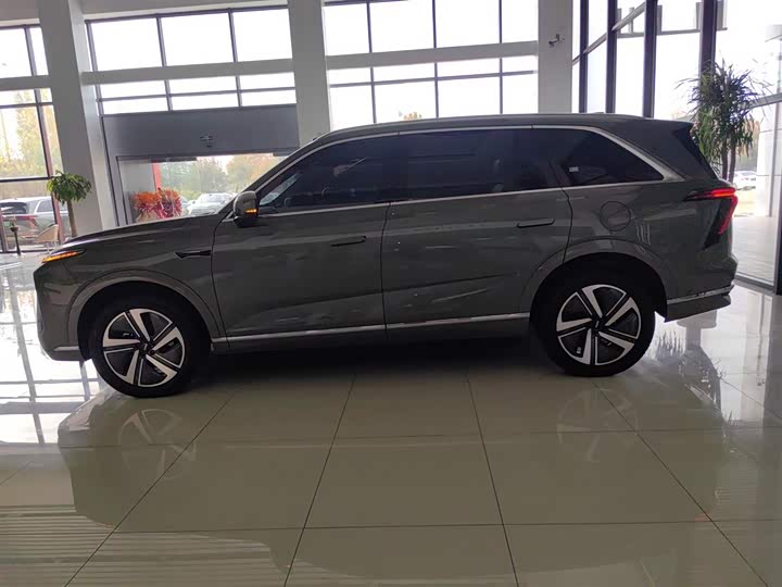 Фото 5 - Wey Lanshan