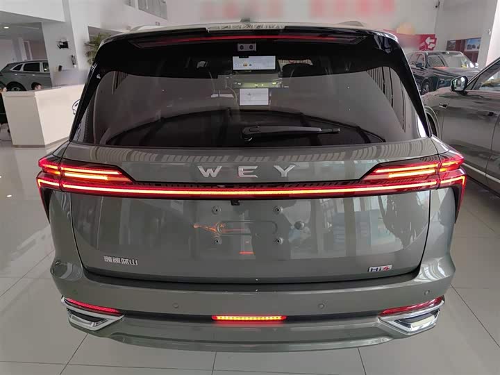 Фото 6 - Wey Lanshan