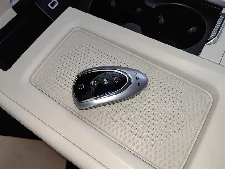 Фото 9 - Wey Lanshan