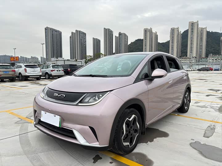 Фото 1 - BYD Dolphin