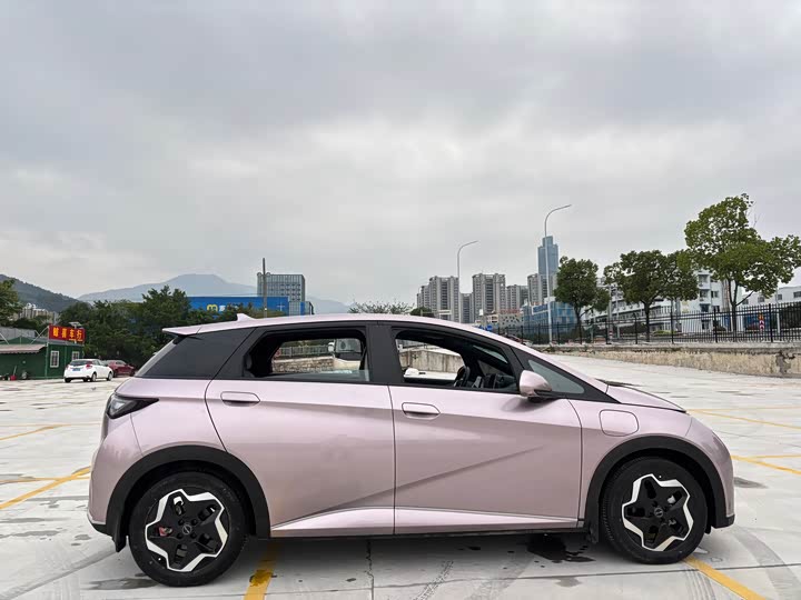 Фото 13 - BYD Dolphin