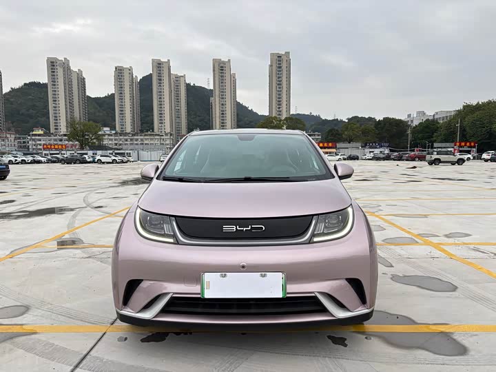 Фото 2 - BYD Dolphin