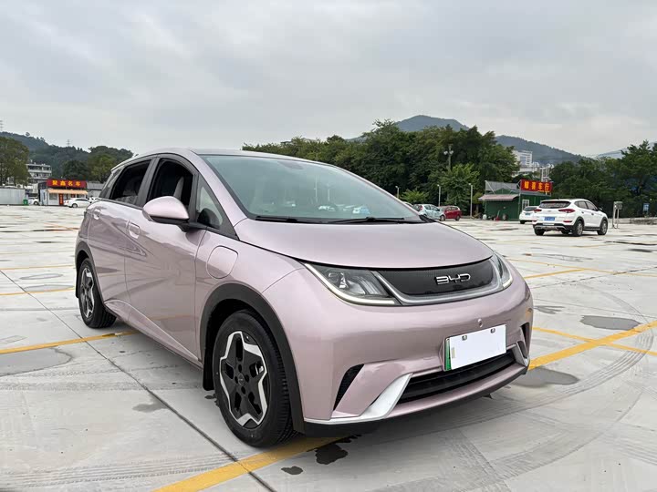 Фото 3 - BYD Dolphin