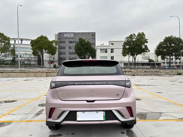 Фото 5 - BYD Dolphin