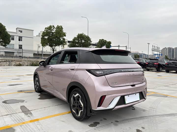 Фото 6 - BYD Dolphin