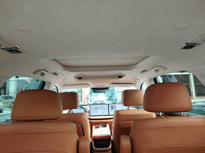 Фото 18 - Wey Lanshan